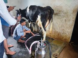Dairy Milking Machine